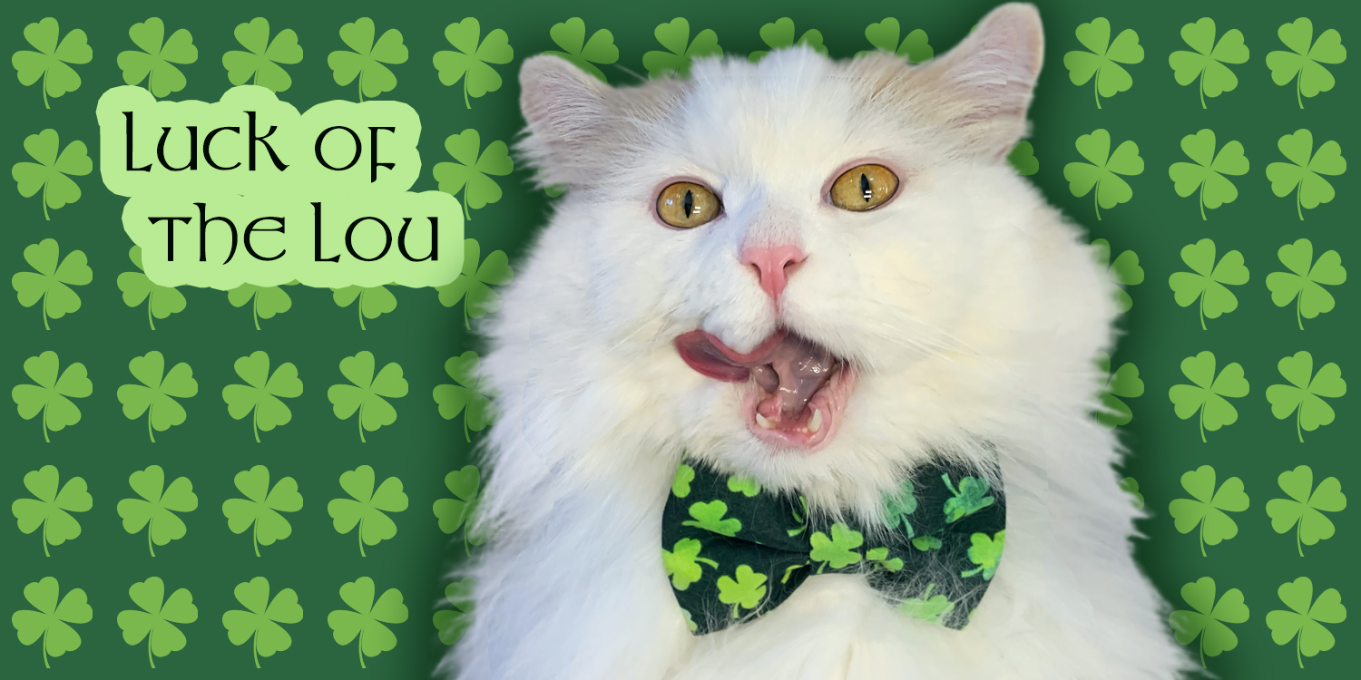 StPatricksfrontcovertongue