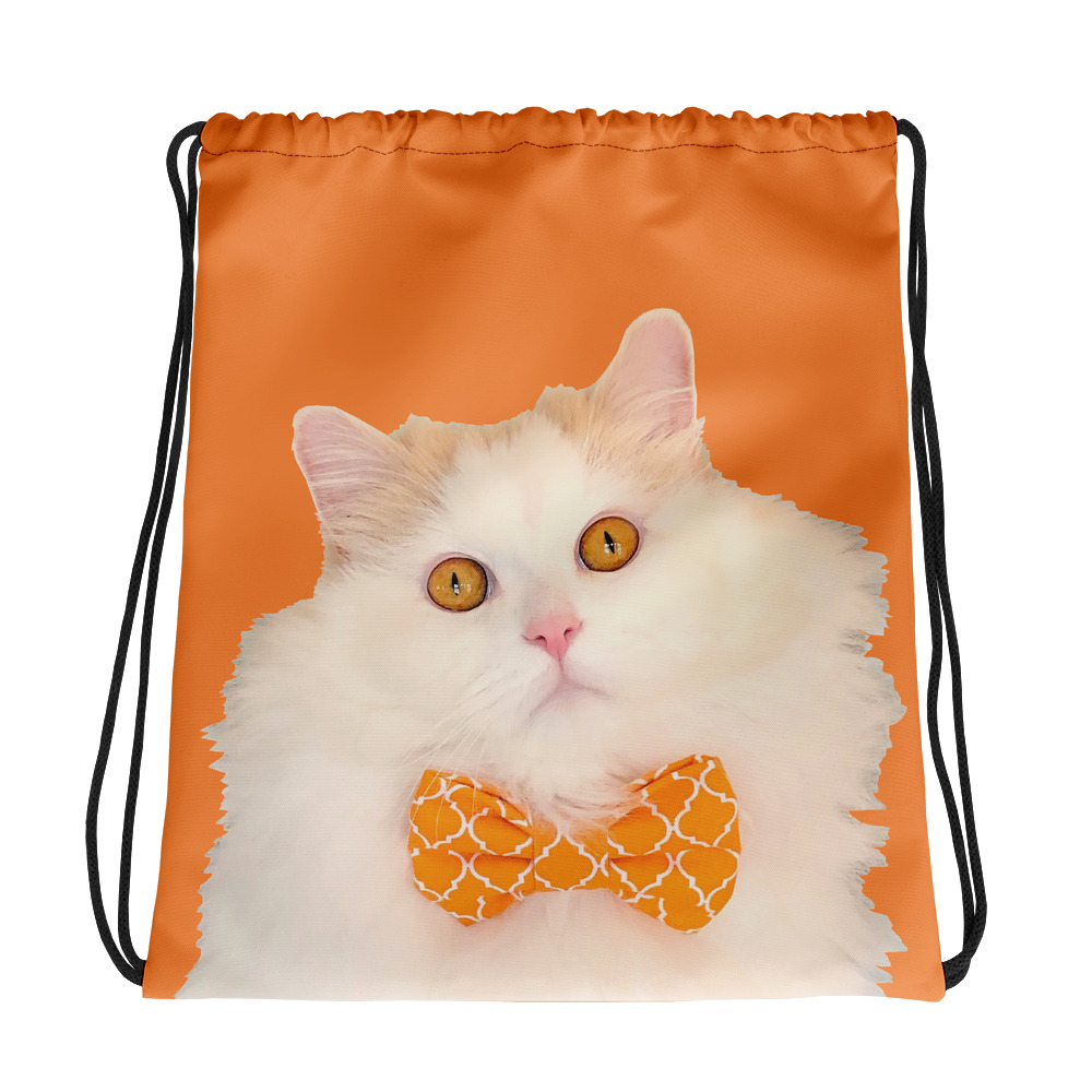 Louie Orange Drawstring Bag